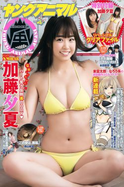 电车魔女1一4部完整视频